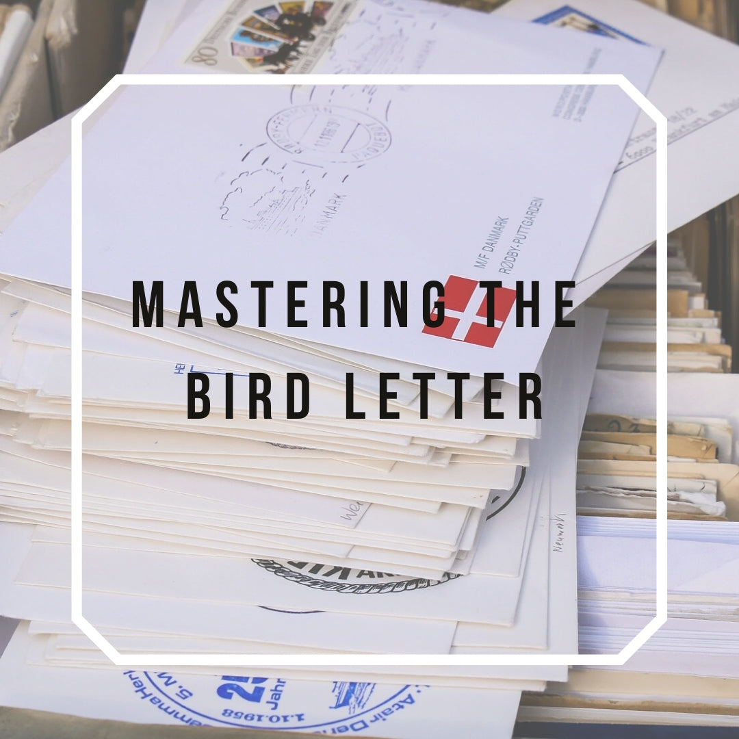 Mastering The Bird Letter