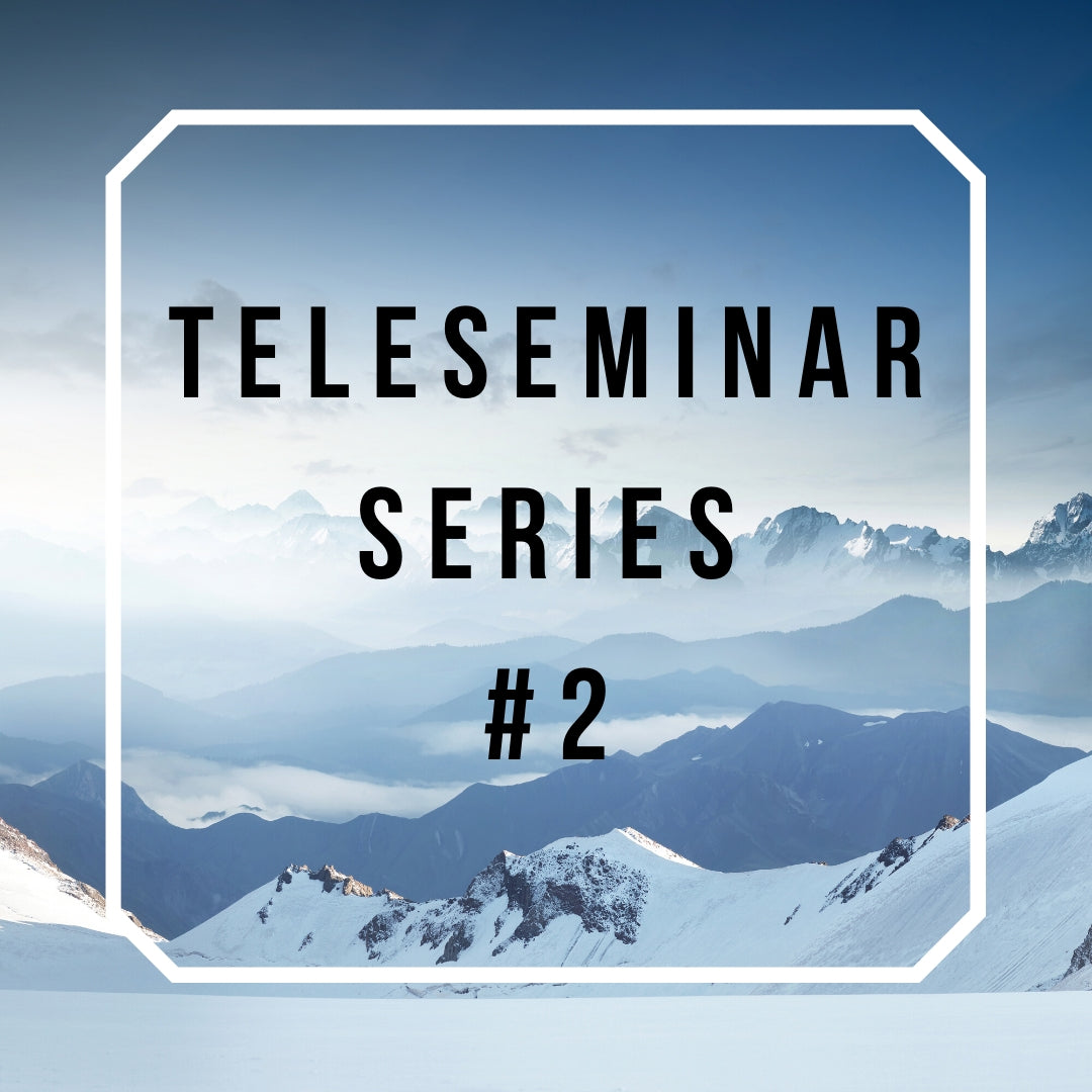 Teleseminar Series 2